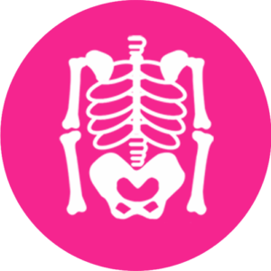 Icon Musculoskeletal