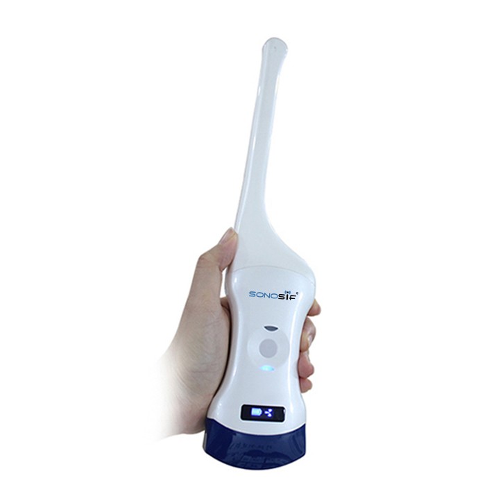 Transvaginal and Convex Ultrasound Scanner
