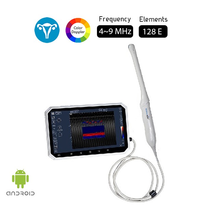 Color Doppler Transvaginal USB Ultrasound Scanner 4-9 MHz -