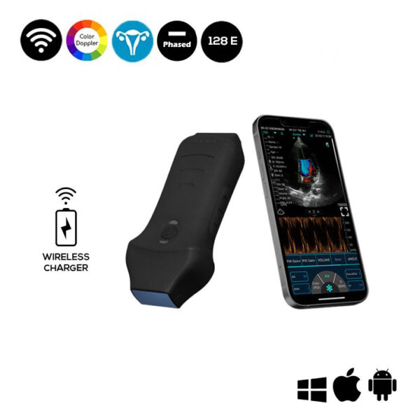 Ultrasound Phased + Linear Probe