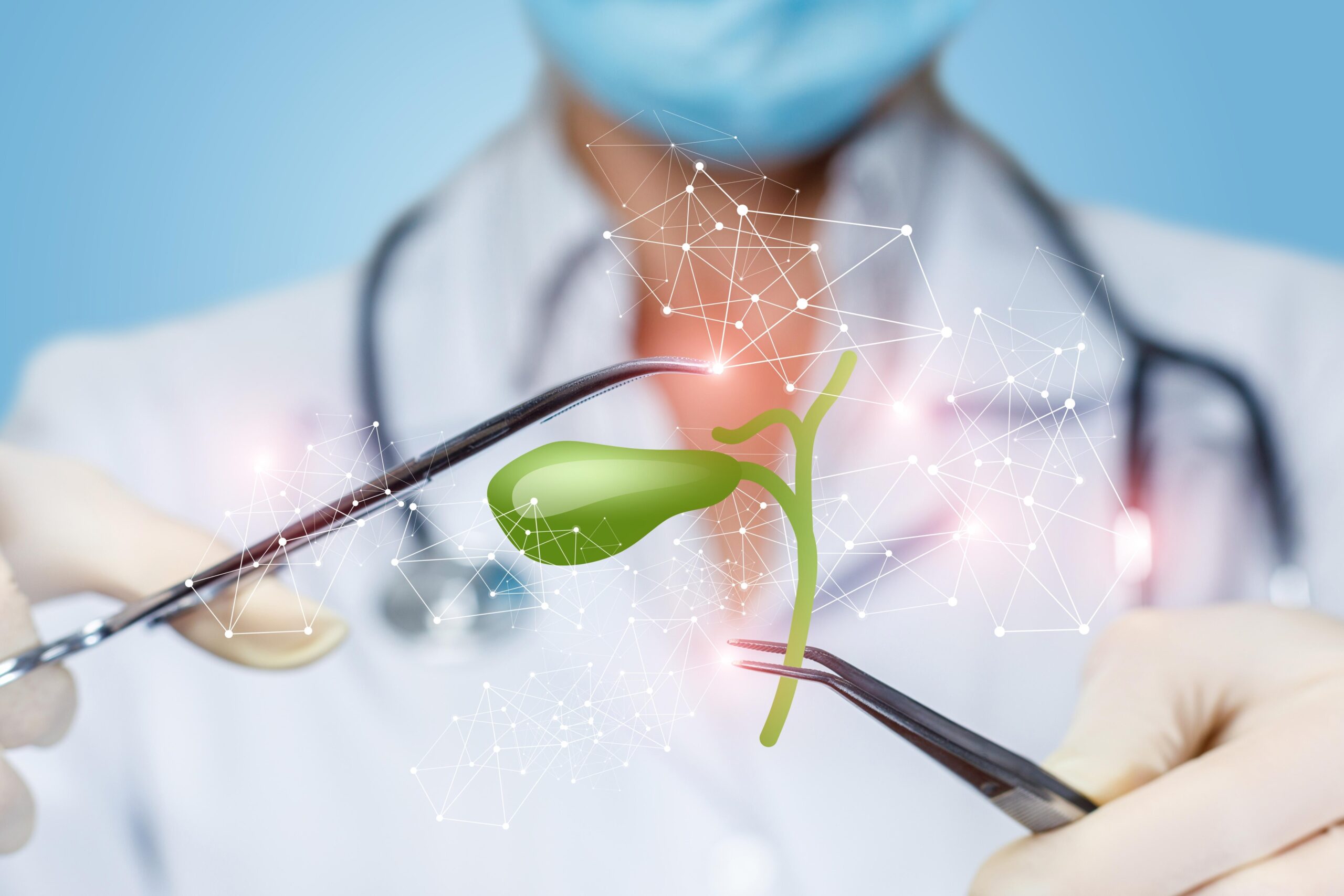 Gallbladder Ultrasound