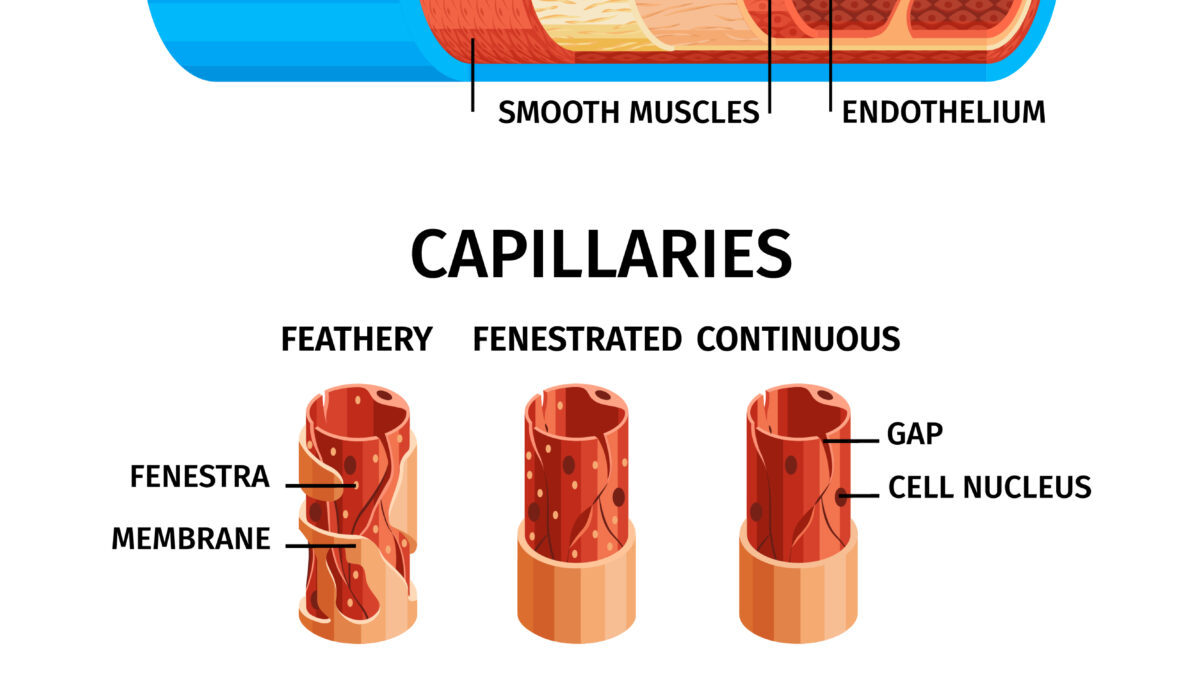 Arterial Lines