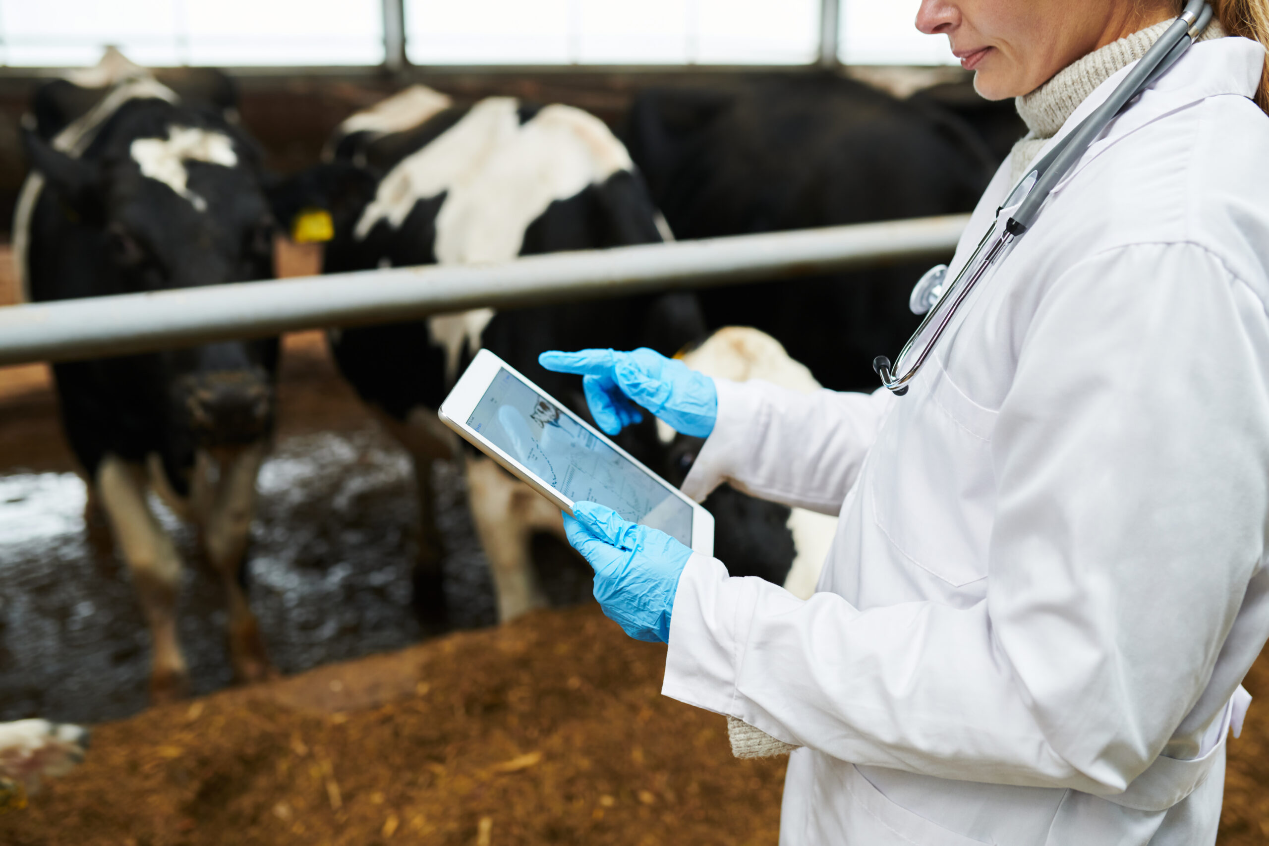 The Use of Ultrasound Scanners by Animal Breeders