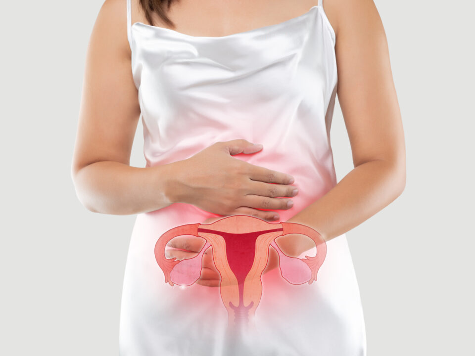 Ultrasound Scanner for Polycystic Ovarian Syndrome Assessment