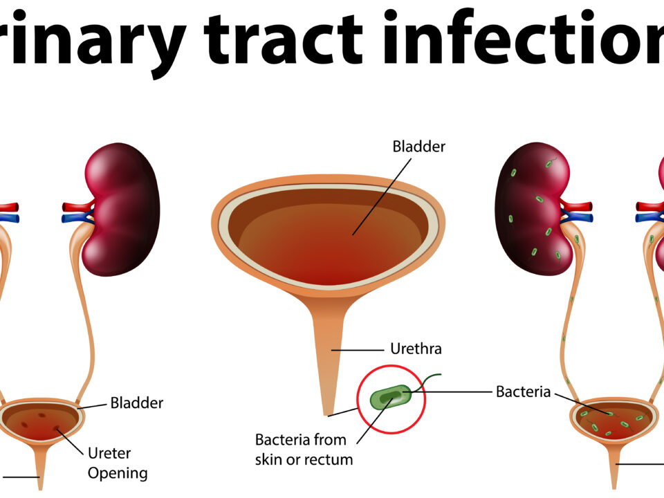 Urology Urologic Surgery and Trauma Experience